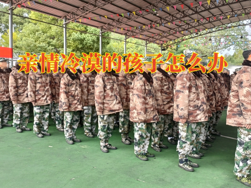 冷漠孩子教育學校,青少年封閉式教育學校