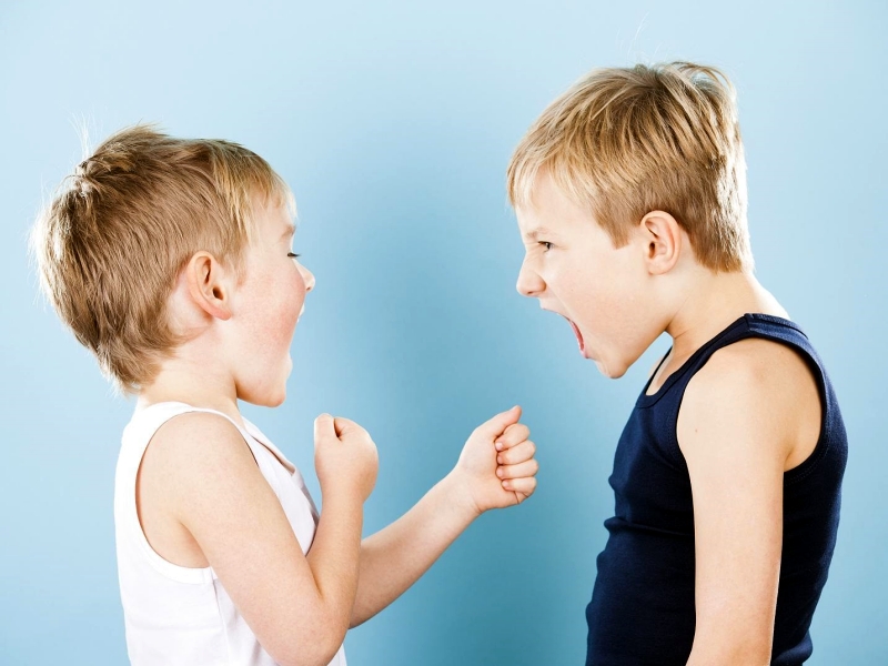 暴力傾向,青少年封閉式教育學校