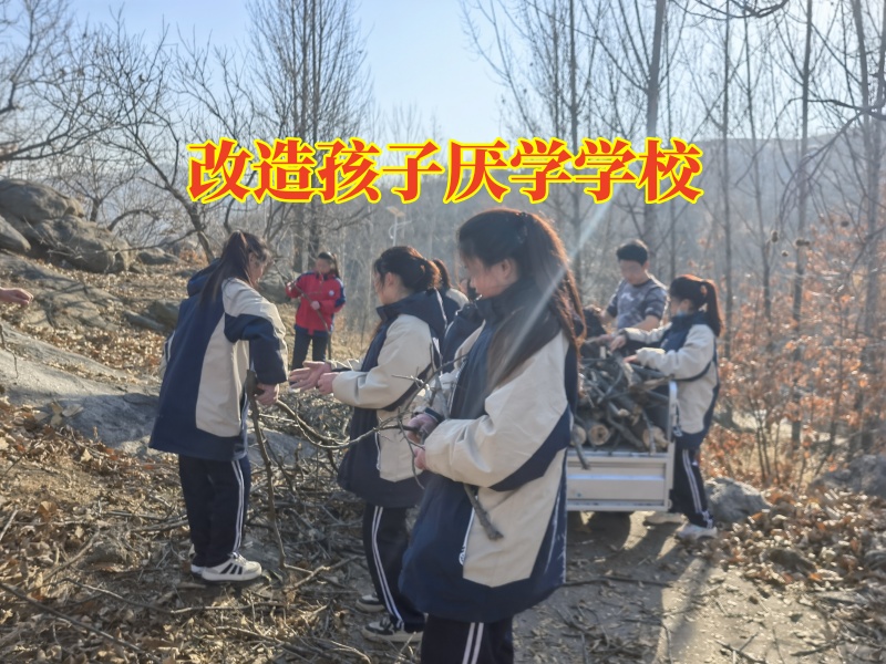 改造孩子厭學學校，改造孩子厭學學校針對孩子成績下降的原因分析