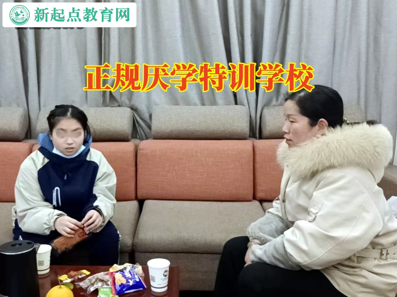 正規厭學特訓學校，正規厭學特訓學校對孩子不上學的看法