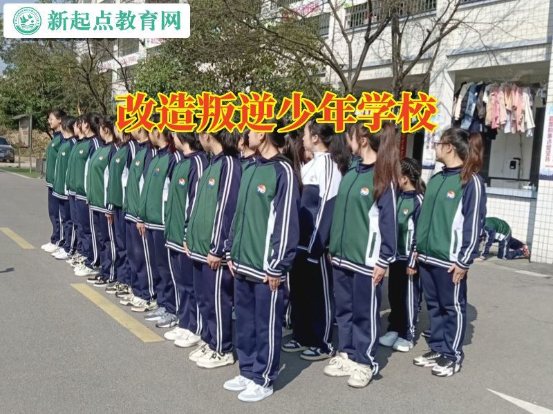 改造叛逆少年學校，改造叛逆少年學校如何勸阻孩子打架