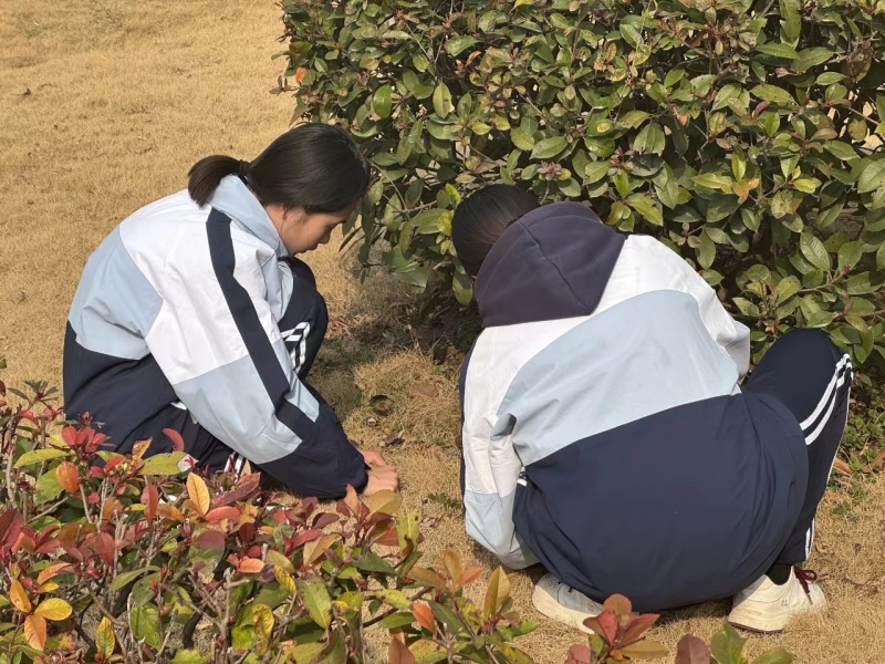 新起點教育特訓學校開展校園綠化行動