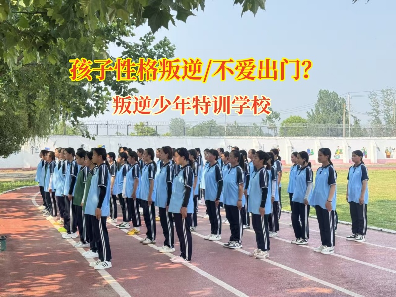 叛逆少年特訓學校關注初中生宅家現象