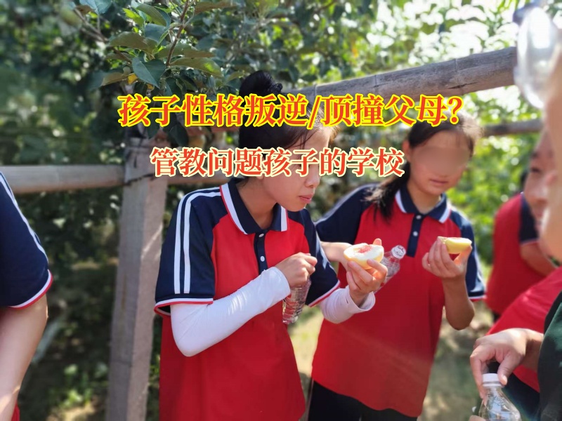 叛逆期孩子頂嘴?管教問題孩子的學校有妙招 叛逆期孩子頂嘴?管教問題孩子的學校有妙招