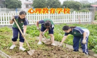 孩子性格孤僻不說話怎么辦