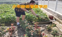 小孩不聽話離家出走怎么辦