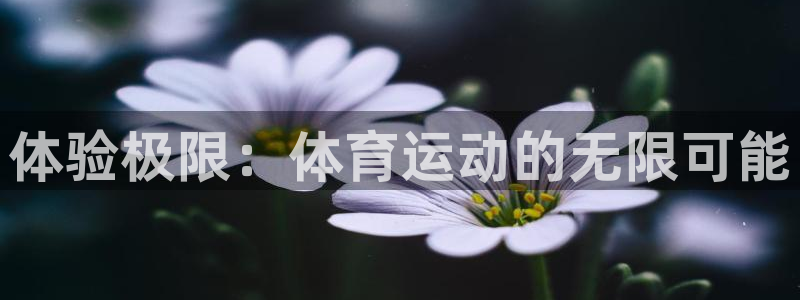 利记SBO是合法的吗：体验极限：体育