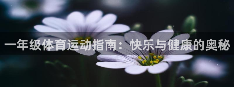 利记官网网址：一年级体育运动指南：快