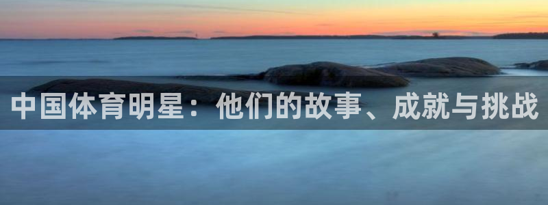 利记坊官网：中国体育明星：他们的故事