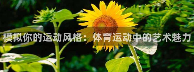 利记轮渡：模拟你的运动风格：体育运动
