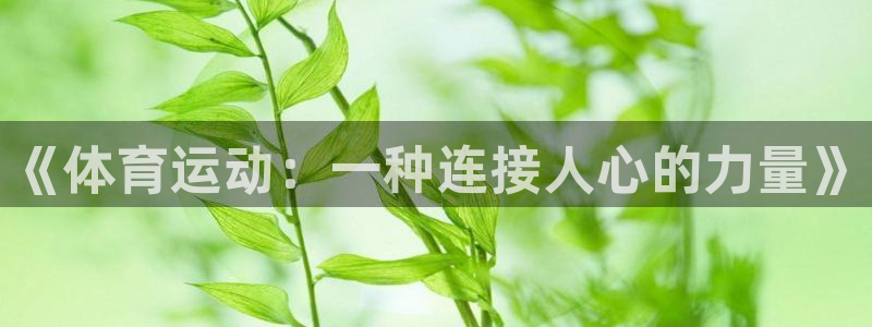 利记娱乐app是什么：《体育运动：一