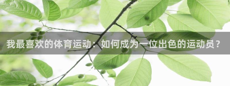 利记sbobet官网(china)：